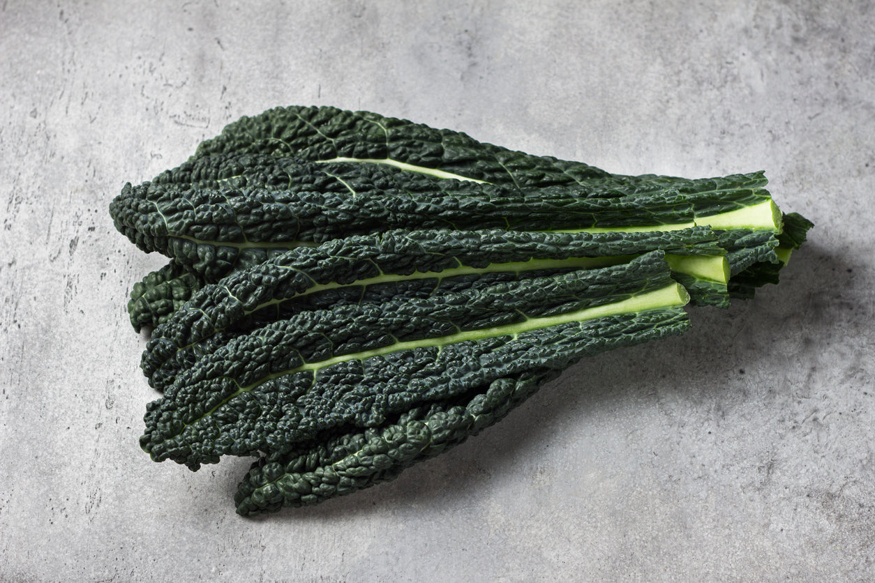 500 Samen Grünkohl „Black of Toscana“ – Palmkohl / Schwarzkohl | Winterhartes Superfood Gemüse für Garten & Hochbeet
