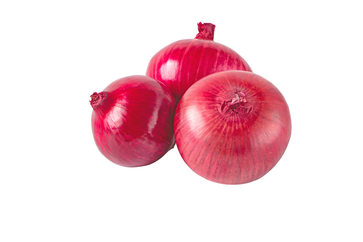 1000 Samen Rote Zwiebeln Red Savonese Garten Gemüse Zwiebel Onion Vegetables