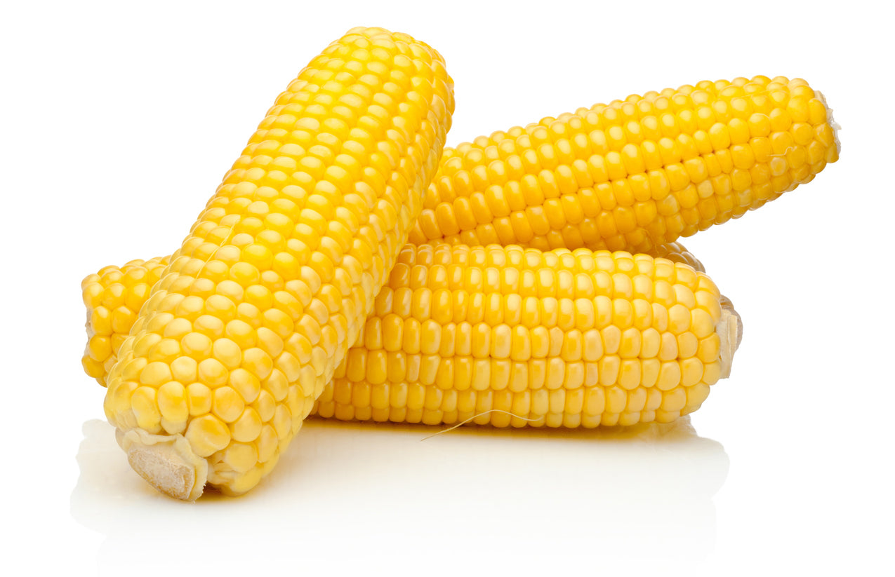 25 Samen Zuckermais „Sweet Corn Pop Corn“ – Extra süßer Mais für Garten & Grill | Frisches Gemüse selbst anbauen