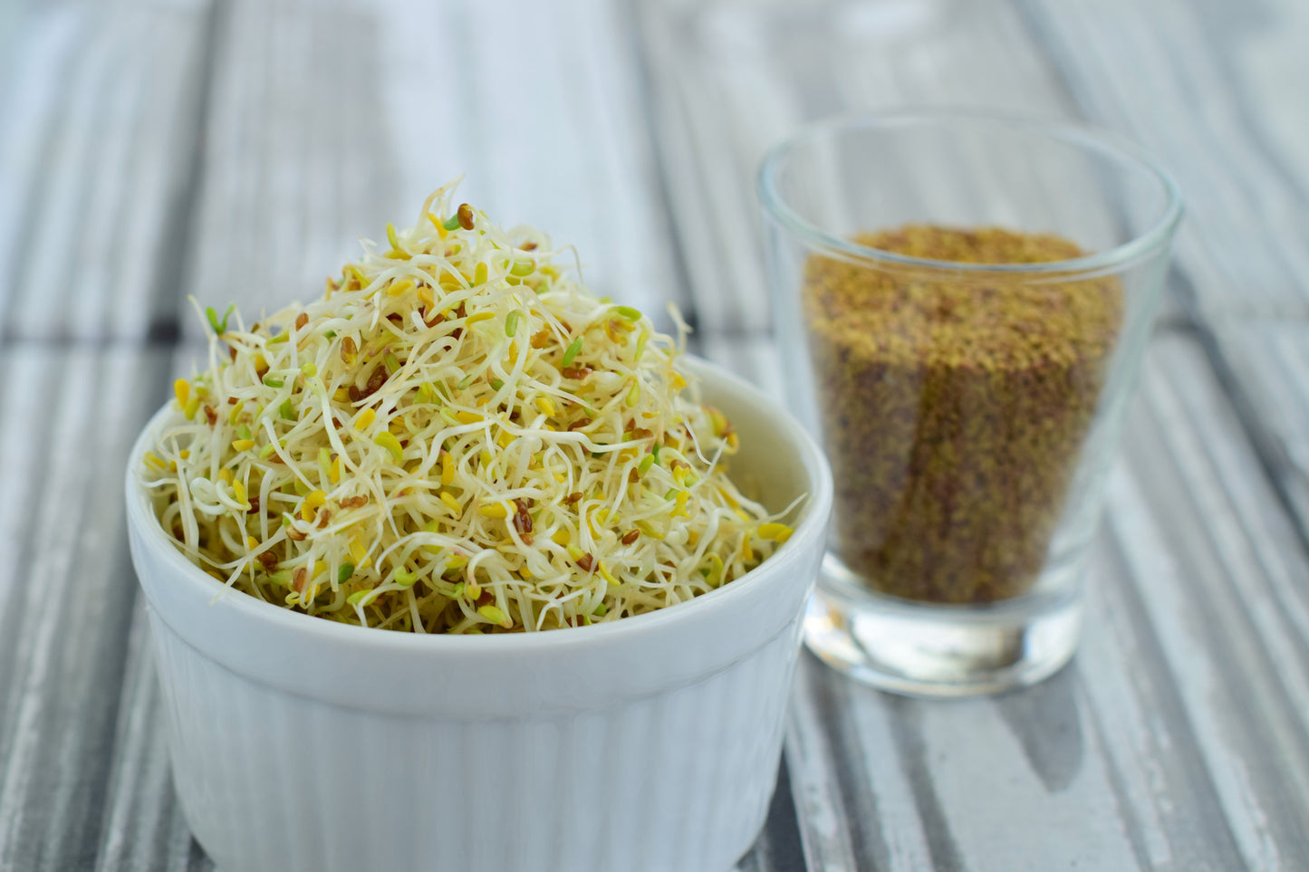 250 g Bio Alfalfa Samen – Keimsprossen, Microgreens & Luzerne | Vegan, nährstoffreich & gesund