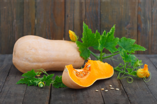 15 Samen Butternut Kürbis „Waltham“ – Birnenkürbis Saatgut – Aromatisch, Ertragreich & Lagerfähig