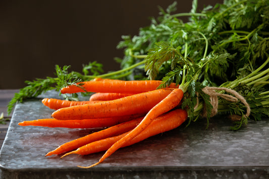 1000 Samen Möhre „Amsterdam“ – Alte, ertragreiche Karottensorte – Aromatisch & Robust für Garten und Hochbeet