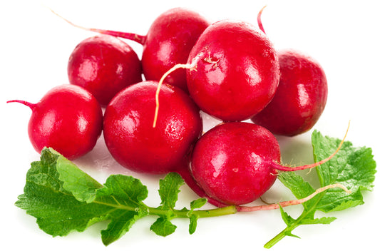 1000 Samen Radieschen Rot Weiß Flamboyant 3  French Breakfast  Gemüse Vegetable