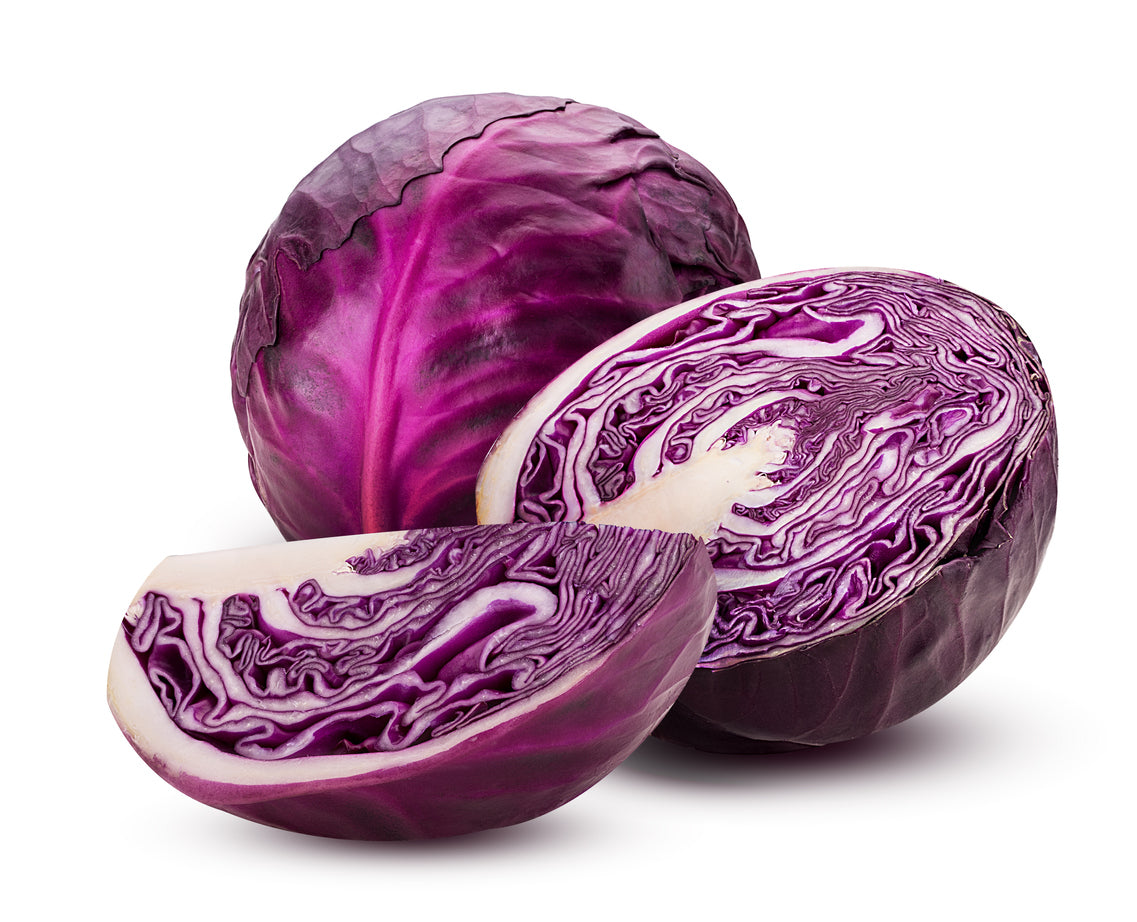 1000 Samen Rotkohl – Ertragreiche Rotkraut Sorte – Robust & Ideal für Garten und Hochbeet