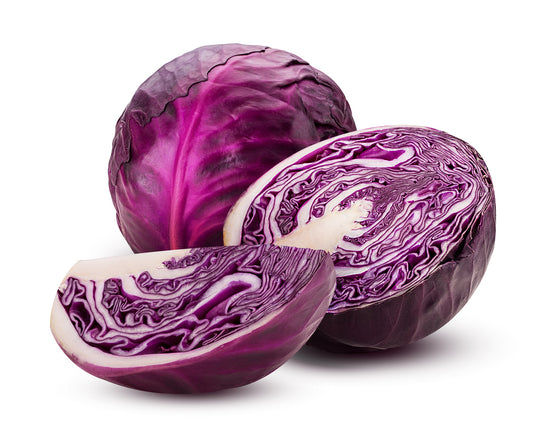 1000 Samen Rotkohl – Ertragreiche Rotkraut Sorte – Robust & Ideal für Garten und Hochbeet
