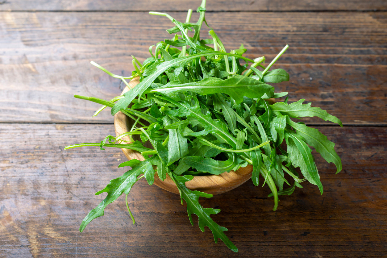 1000 Samen Wilde Rauke Rucola selvatica Rukola Salat Vegan Rohkost Winterhart
