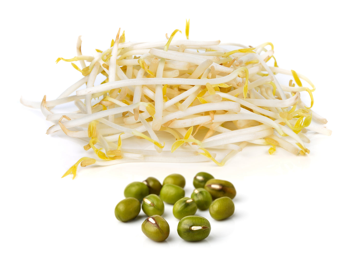 Mungobohnen Samen Bio Keimsaat Mungo Sprossen Microgreens Vegan Rohkost Keimglas - 1000g